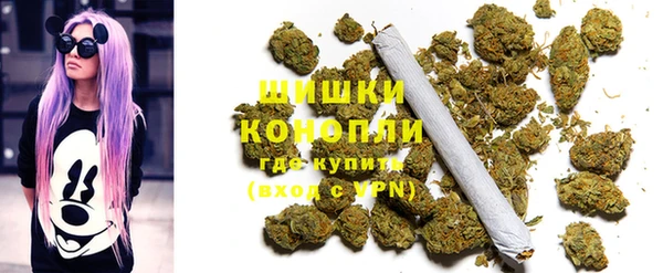шишки Алексеевка