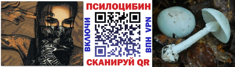 Купить где  Ленинградская  Галлюциногенные грибы мицелий 